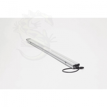 SANlight FLEX II 10, 10W